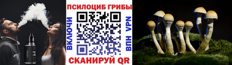 Галлюциногенные грибы мухоморы Суджа