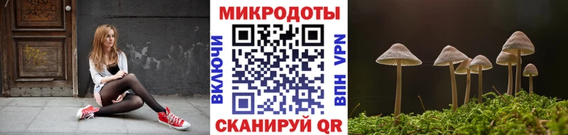 как найти закладки Суджа Галлюциногенные грибы Psilocybe